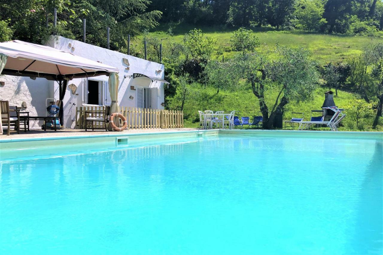 Podere Badia Valdrago Agriturismo Mugello Circuit Scarperia Kültér fotó