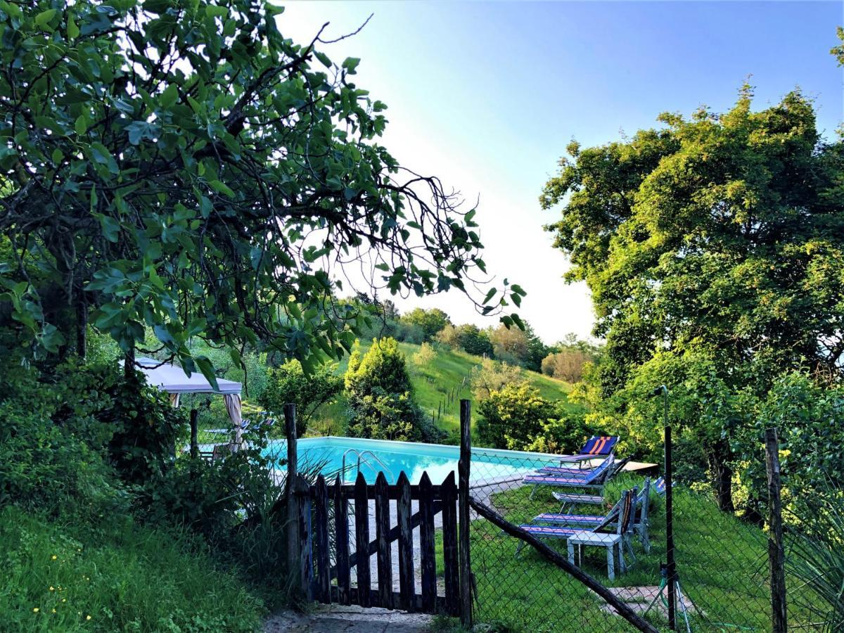 Podere Badia Valdrago Agriturismo Mugello Circuit Scarperia Kültér fotó