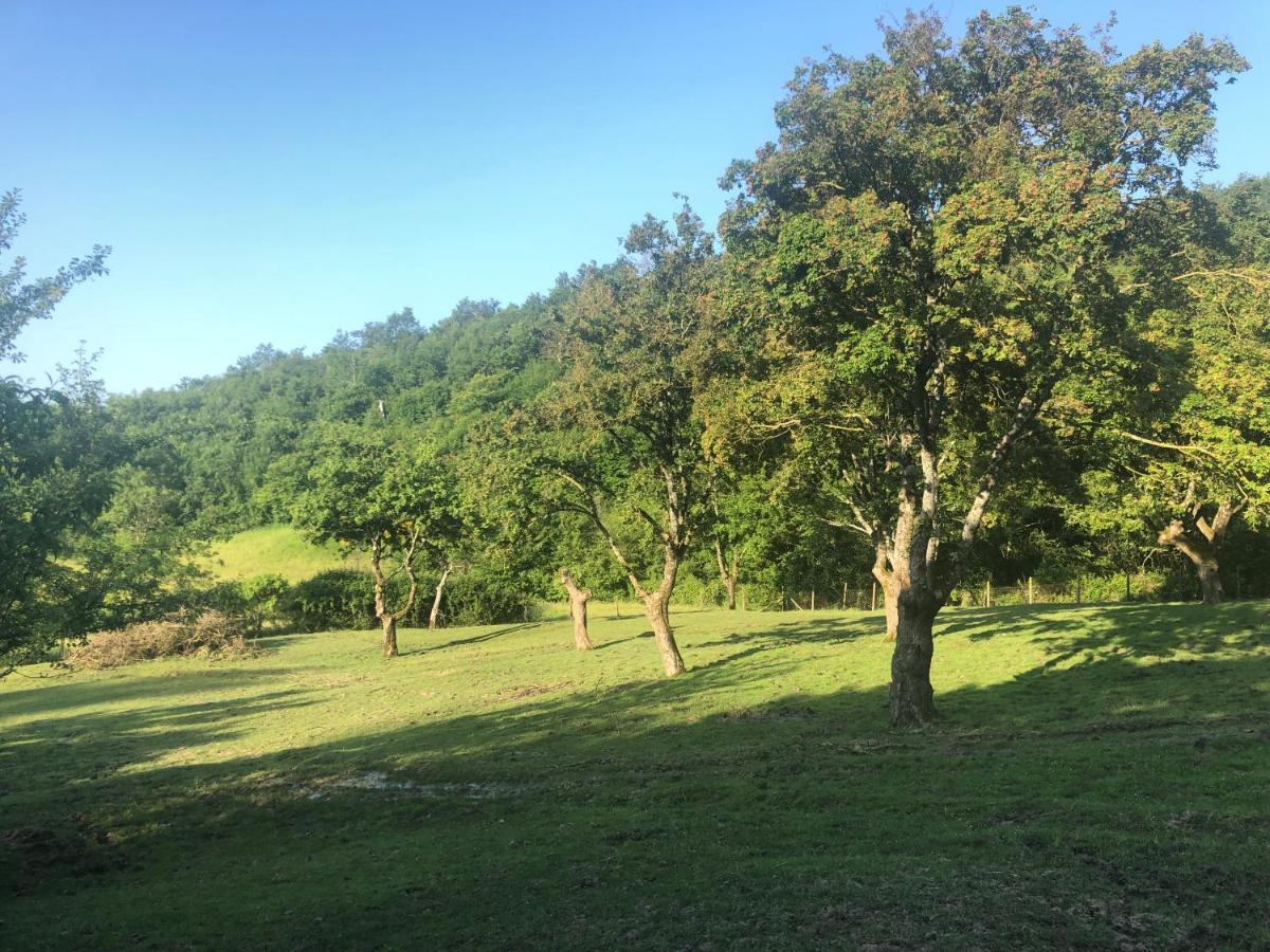 Podere Badia Valdrago Agriturismo Mugello Circuit Scarperia Kültér fotó