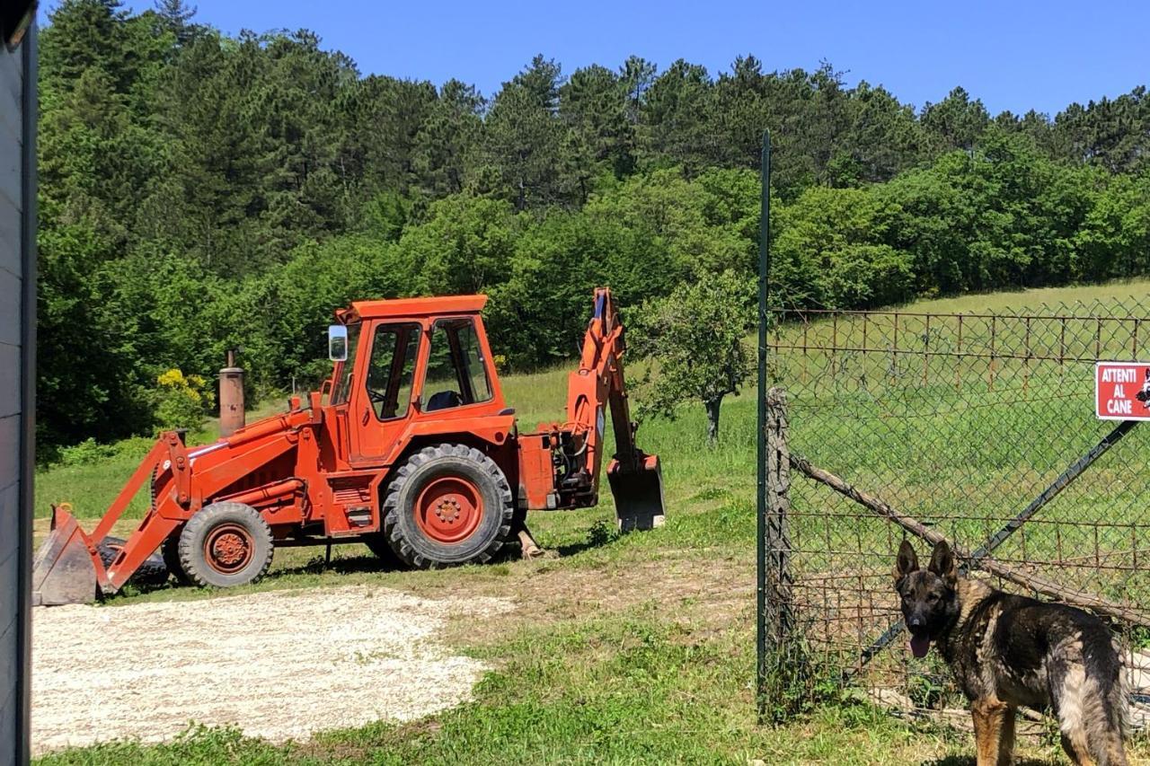 Podere Badia Valdrago Agriturismo Mugello Circuit Scarperia Kültér fotó